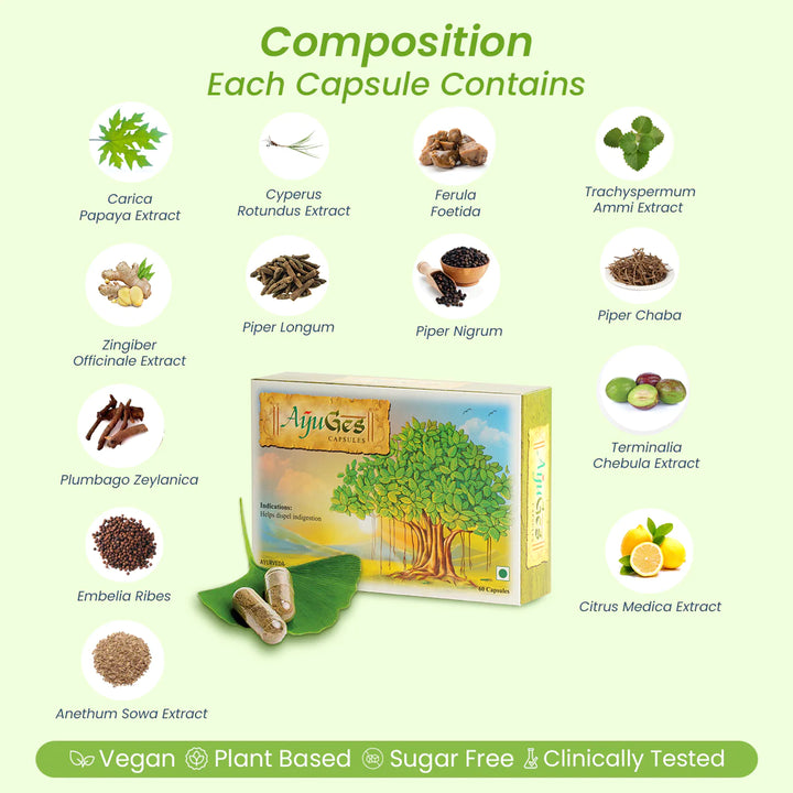 AyuGes: Ayurvedic medicine for indigestion & Digestion Relief