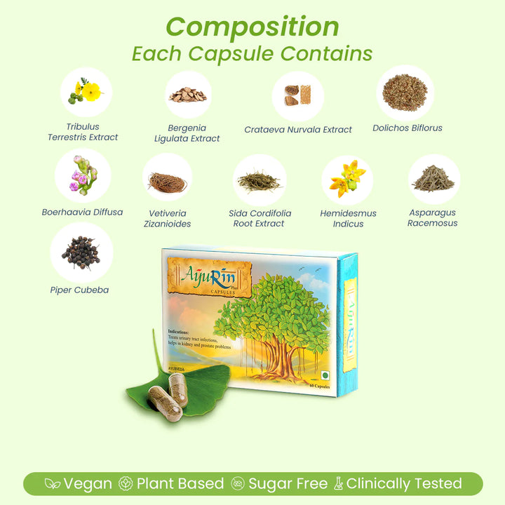 AyuRin Plus: Ayurvedic medicine for Urine Infection
