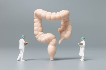 Constipation - Welex Care
