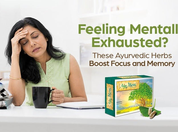 Feeling Mentally Exhausted? These Ayurvedic Herbs Boost Focus and Memory - Welex Care