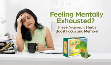 Feeling Mentally Exhausted? These Ayurvedic Herbs Boost Focus and Memory - Welex Care