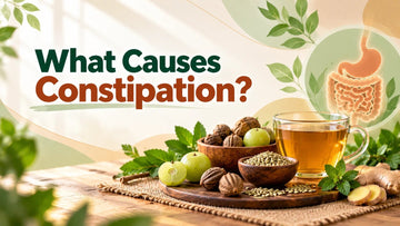 What Causes Constipation? Symptoms, Common Triggers & Ayurvedic Ways to Support Digestive Health - Welex Care