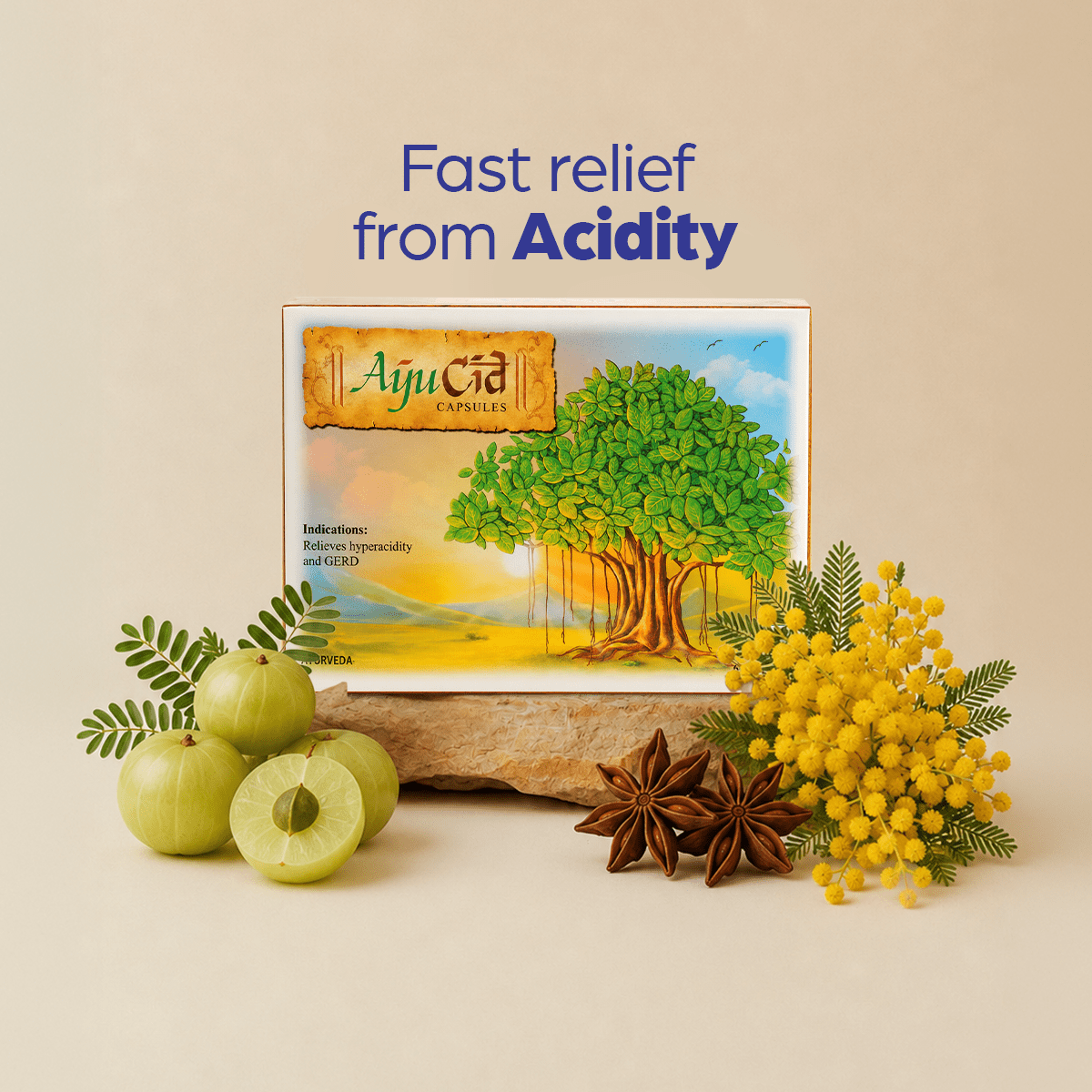AyuCid: Relieves Hyperacidity, GERD and Ulcers - Welex Care