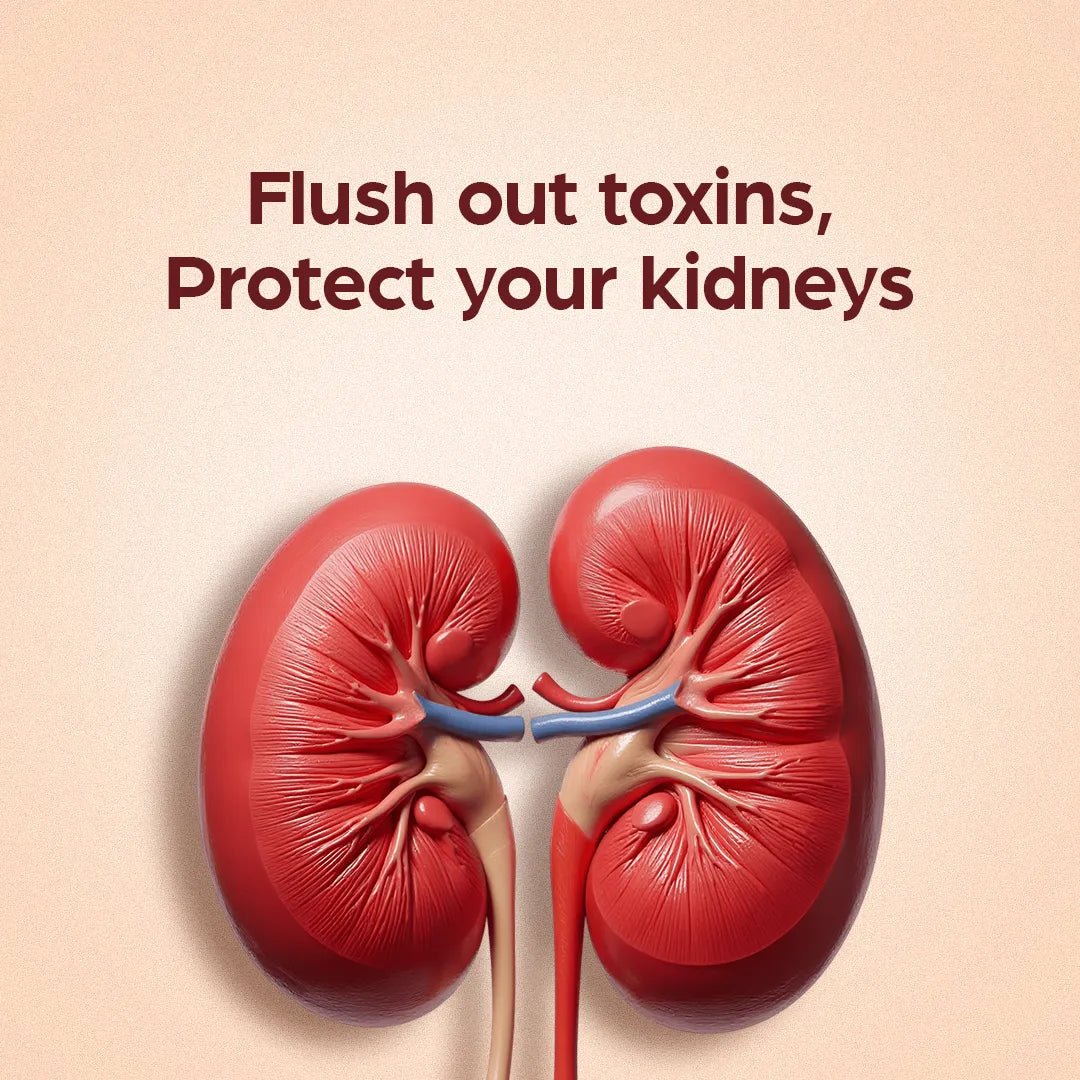 AyuRin Plus: for Urinary Tract Infections (UTIs) and Kidney Stones - Welex Care