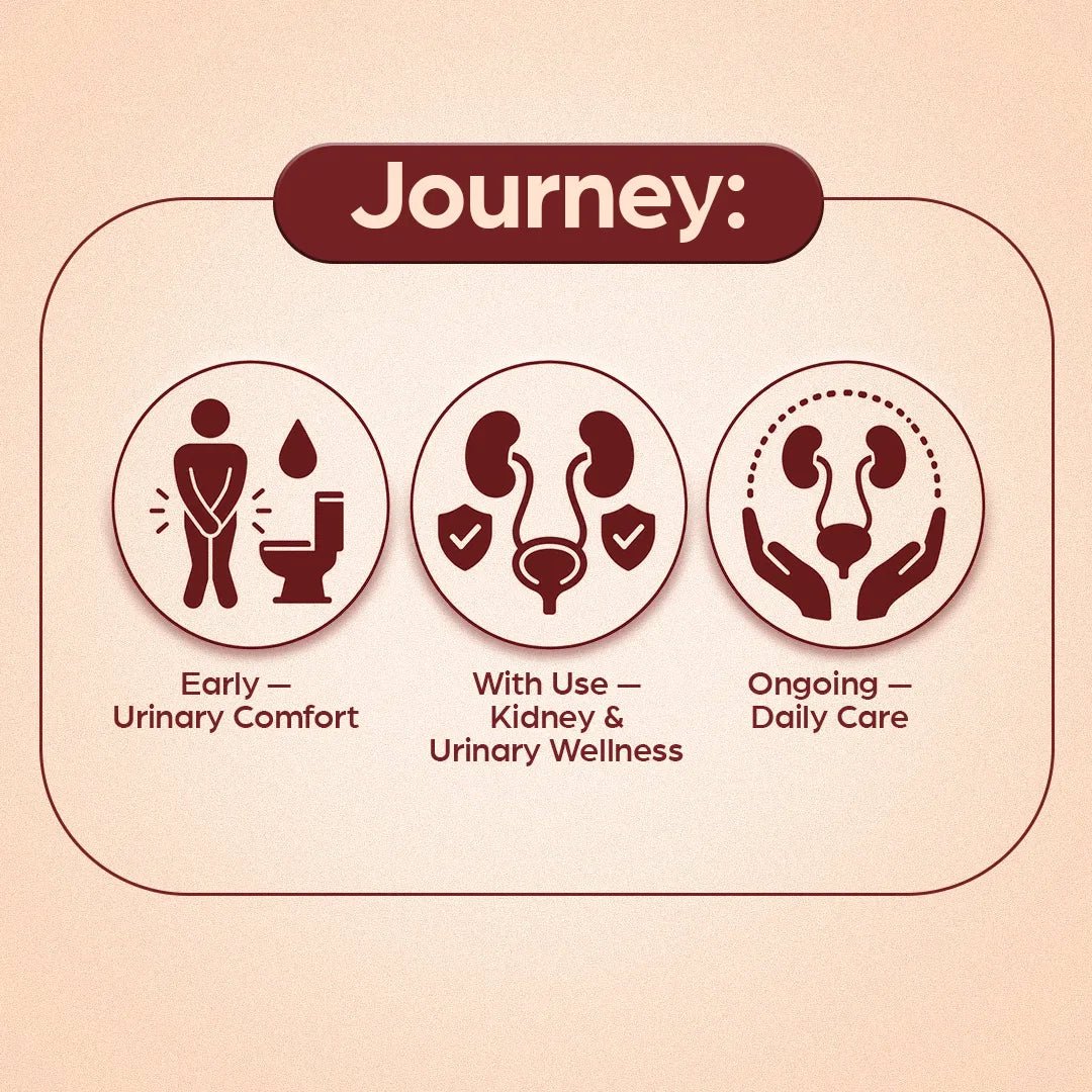 AyuRin Plus: for Urinary Tract Infections (UTIs) and Kidney Stones - Welex Care