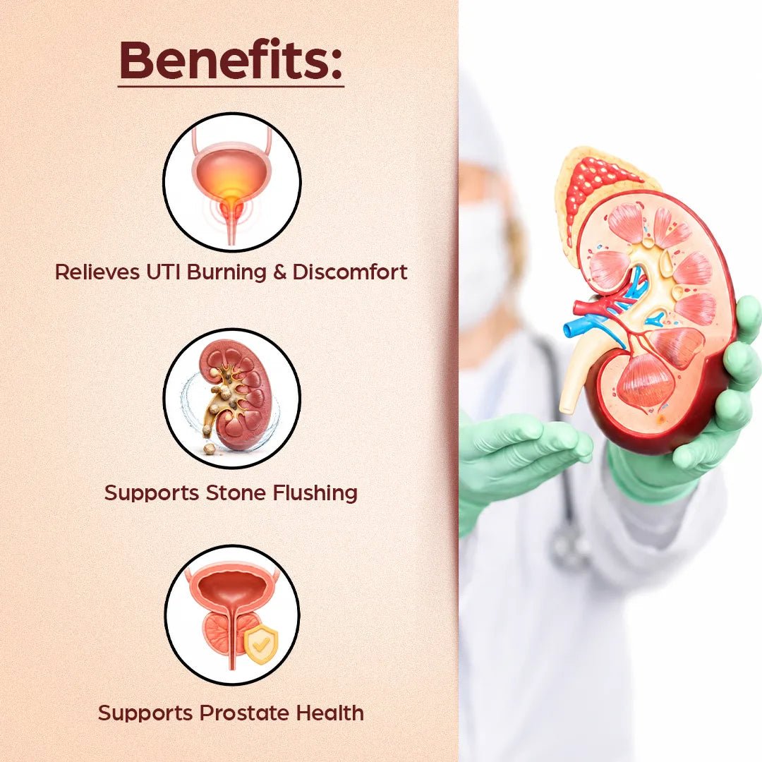 AyuRin Plus: for Urinary Tract Infections (UTIs) and Kidney Stones - Welex Care