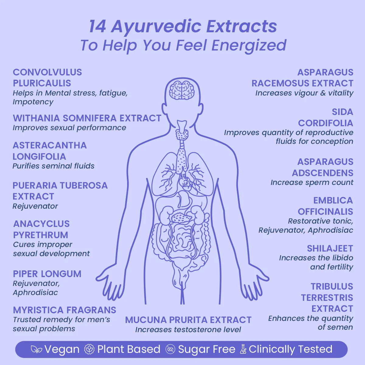 AyuVigo Forte - Welex Care