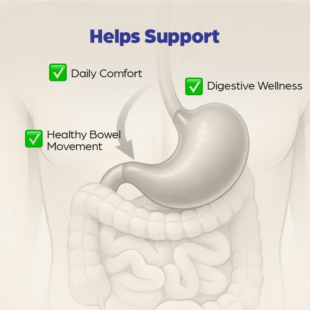 No Surgery Piles Recovery Kit - Welex Care