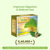 AyuGes: Helps Dispel Indigestion - Welex Care