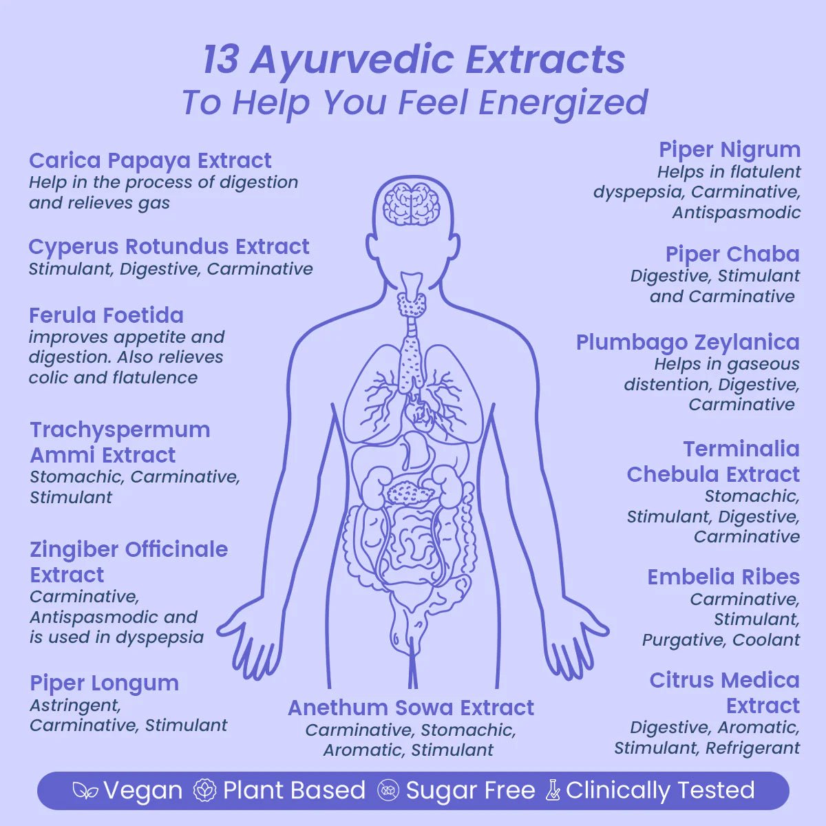 AyuGes: Helps Dispel Indigestion - Welex Care