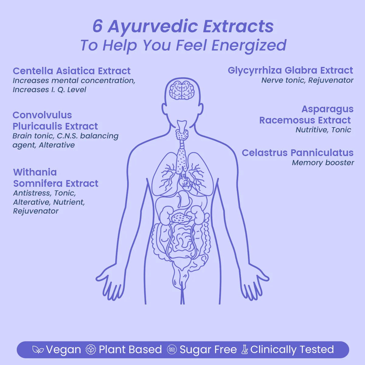 AyuMem: Natural Memory Tonic & Stress Buster - Welex care - Welex Care