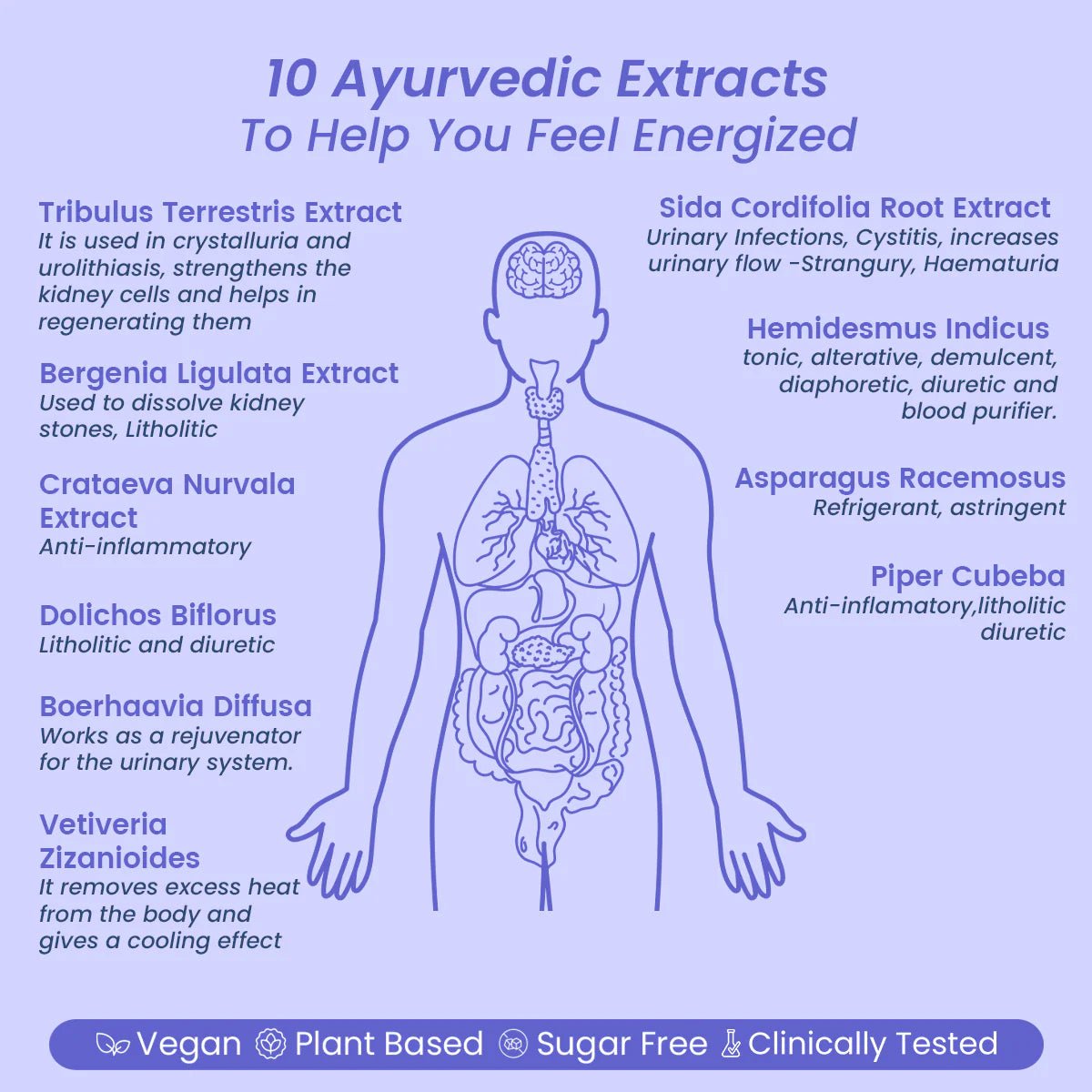 AyuRin Plus: for Urinary Tract Infections (UTIs) and Kidney Stones - Welex Care