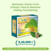 AyuRin Plus: for Urinary Tract Infections (UTIs) and Kidney Stones - Welex Care