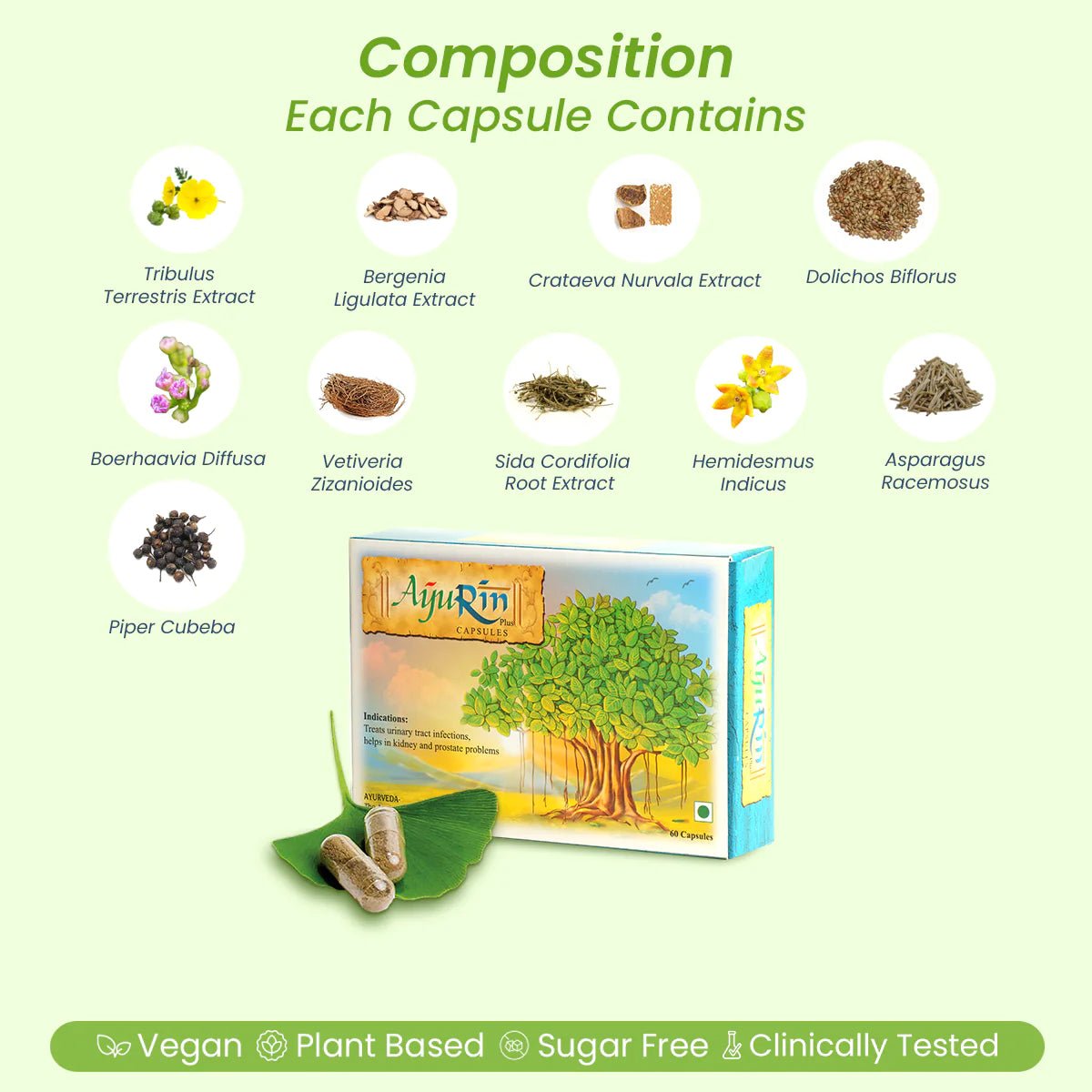 AyuRin Plus: for Urinary Tract Infections (UTIs) and Kidney Stones - Welex Care