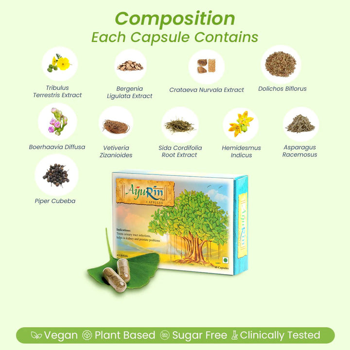AyuRin Plus: for Urinary Tract Infections (UTIs) and Kidney Stones - Welex Care