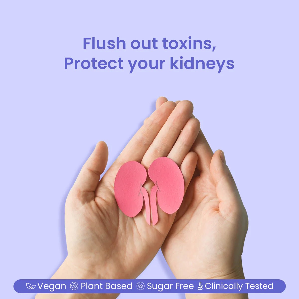 AyuRin Plus: for Urinary Tract Infections (UTIs) and Kidney Stones - Welex Care