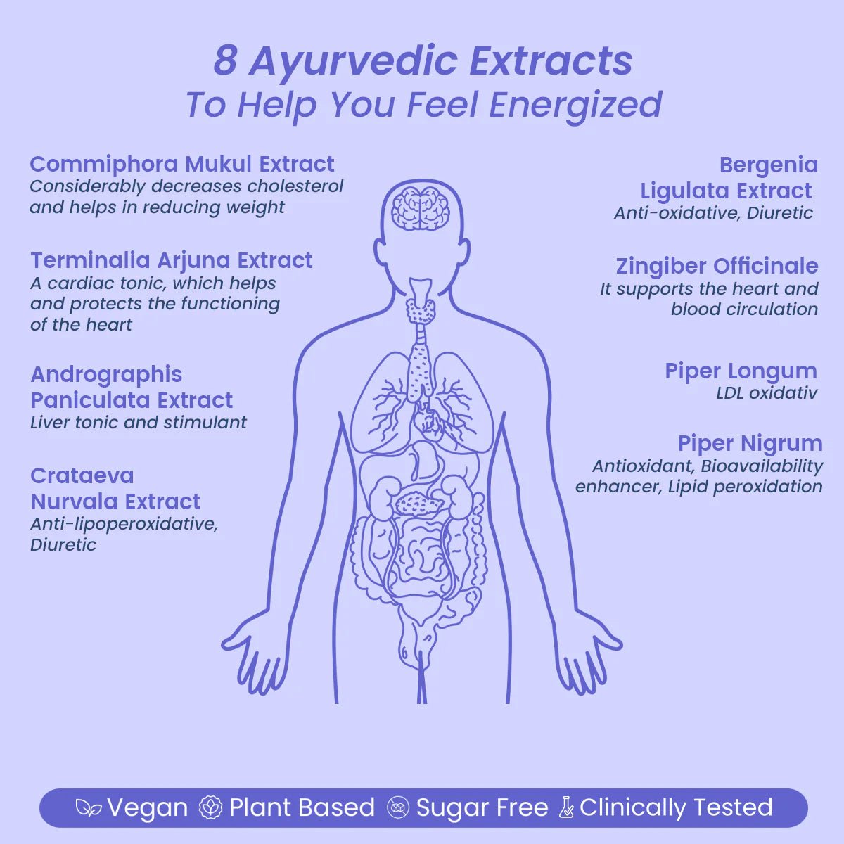 AyuRol : For Cholesterol and Cardiac Tonic - Welex Care